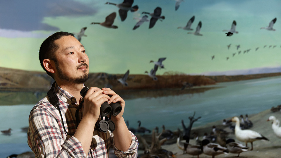 Shizuka to explore how population turnover changes birds' social networks