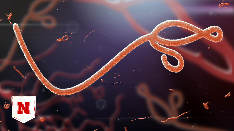 Early experiments show Ebola-fighting potential of engineered bacteria