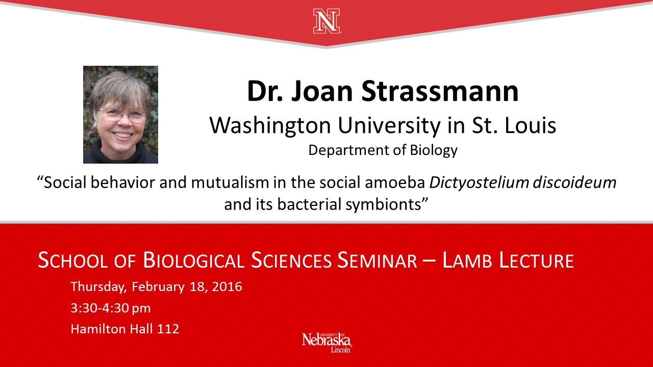 Lamb Lecture - Dr. Joan Strassman