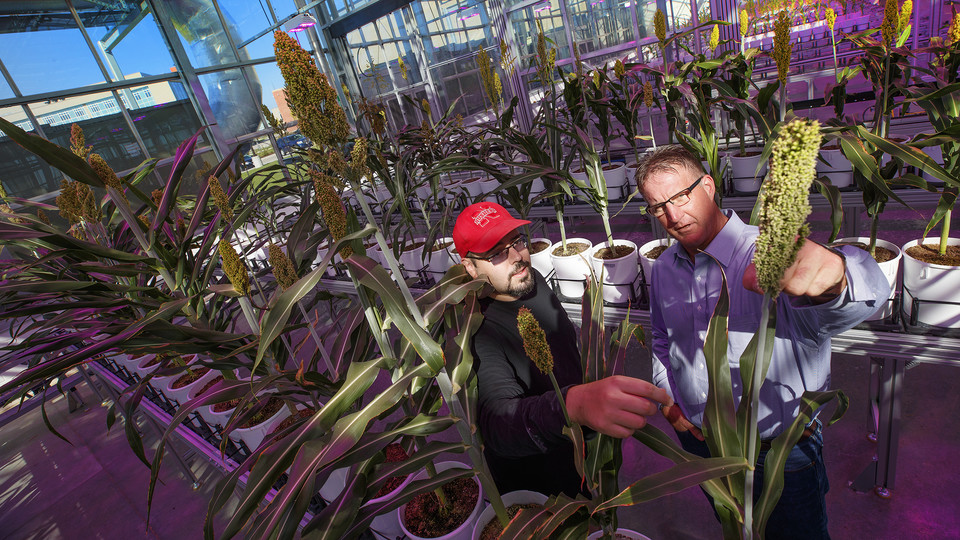 Researchers aim to reduce nitrogen fertilizer use