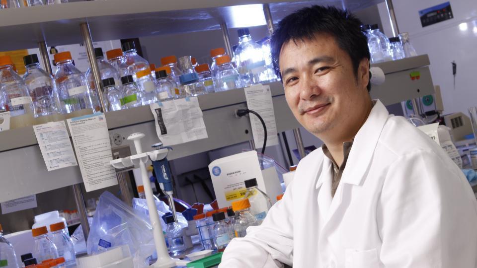 Sunday with a Scientist to feature Yu's gene silencing work