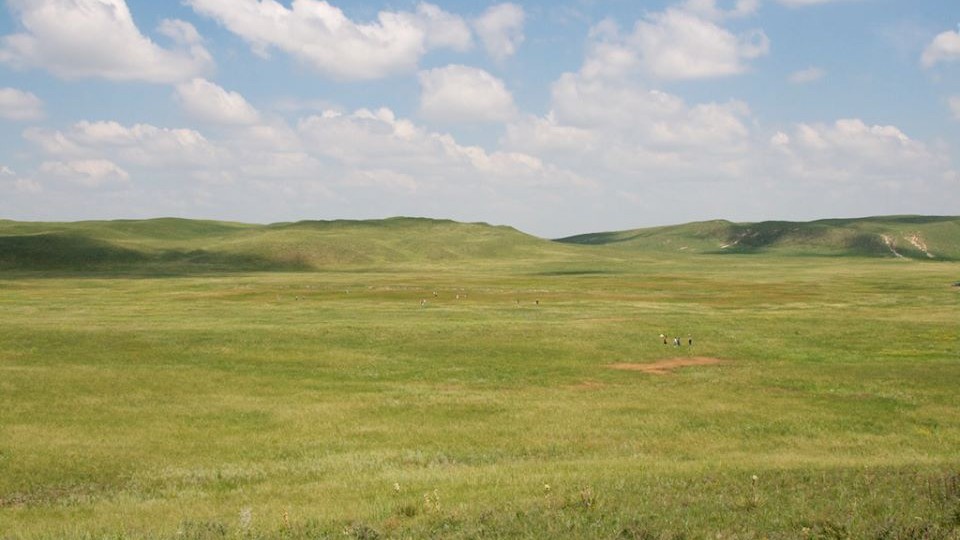 Worldwide study finds that fertilizer destabilizes grasslands 