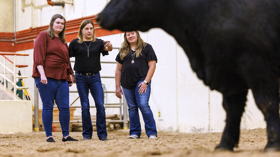 Husker team to ID genetic tools to boost cattle growth efficiency