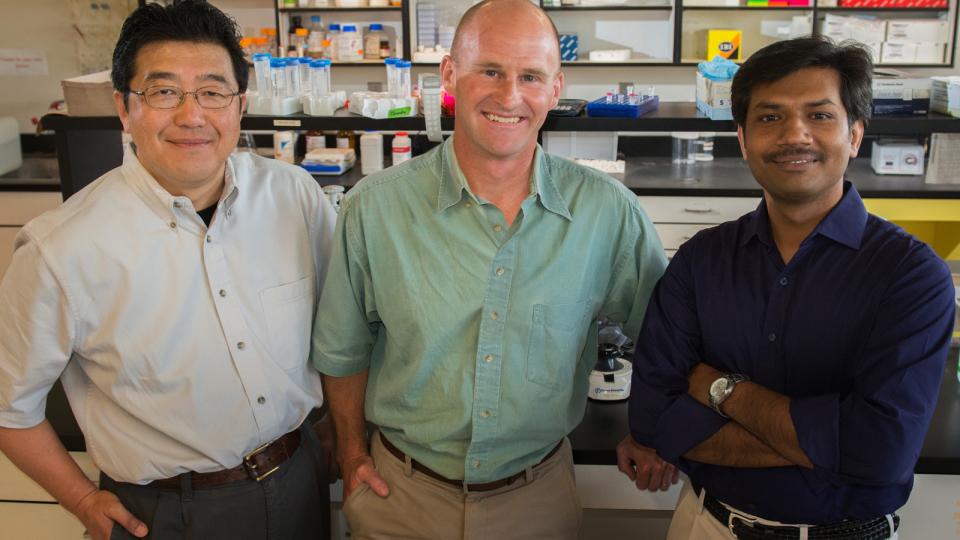 Team receives $1.4M grant to research protein evolution
