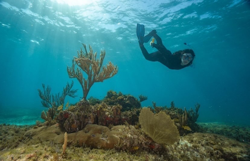Baylie Fadool underwater in scuba gear with marine life