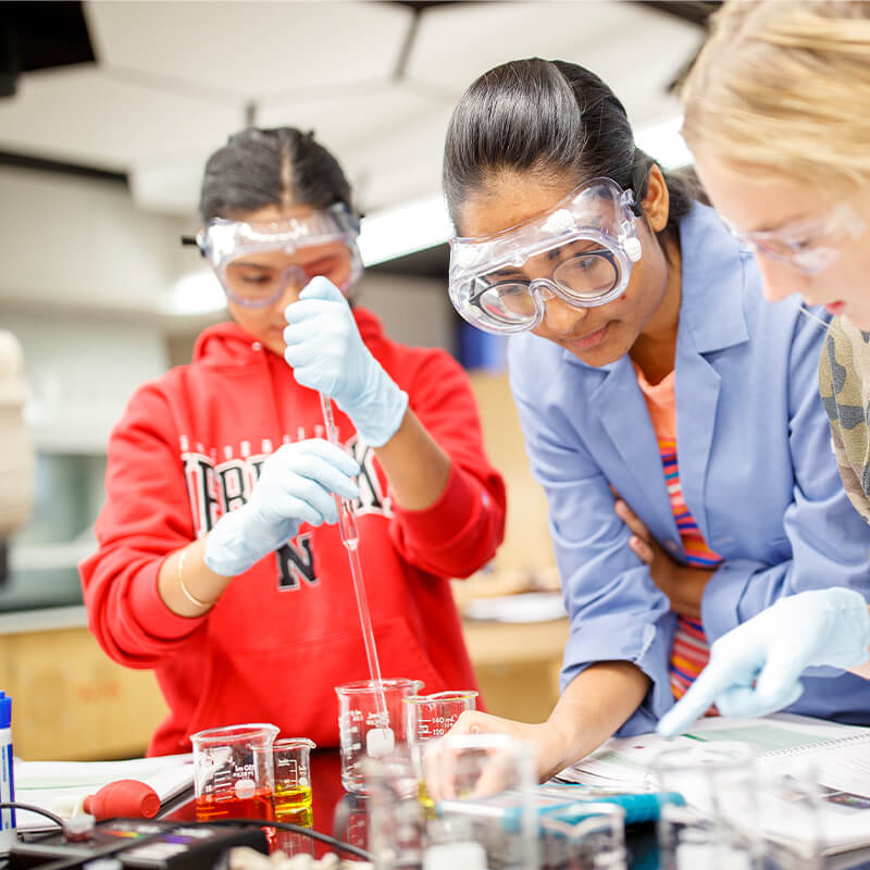 Students working in lab