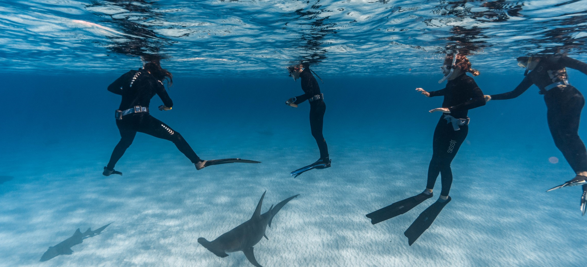Students scuba diving