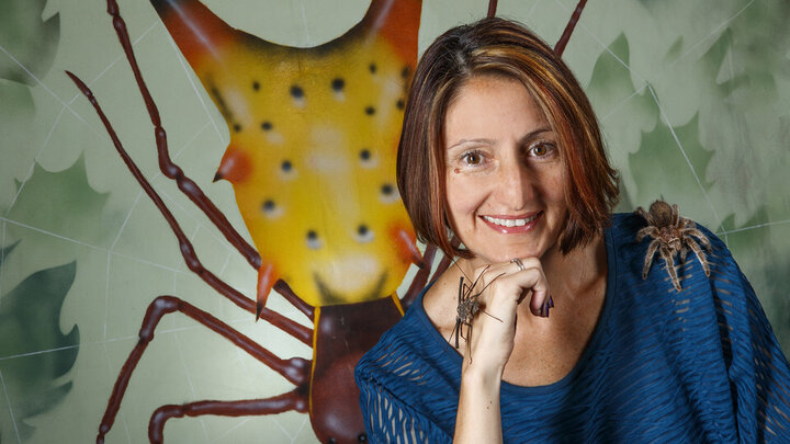 Eileen Hebets
