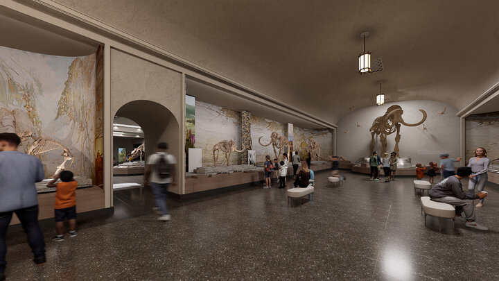 A rendering of a renovated Elephant Hall at the University of Nebraska State Museum-Morrill Hall, with people observing mammoth and mastodon fossils.