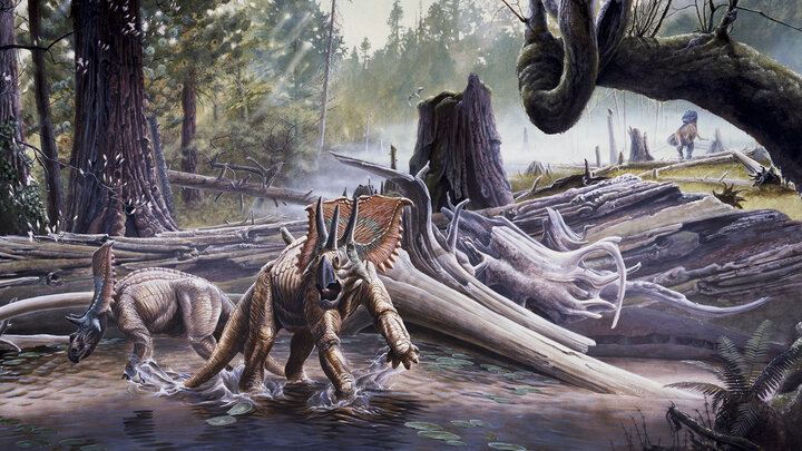 The art of Mark Marcuson is featured in the First Friday event at the University of Nebraska State Museum in Morrill Hall.