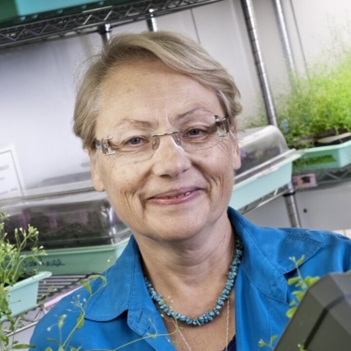 Avatar for Zoya Avramova