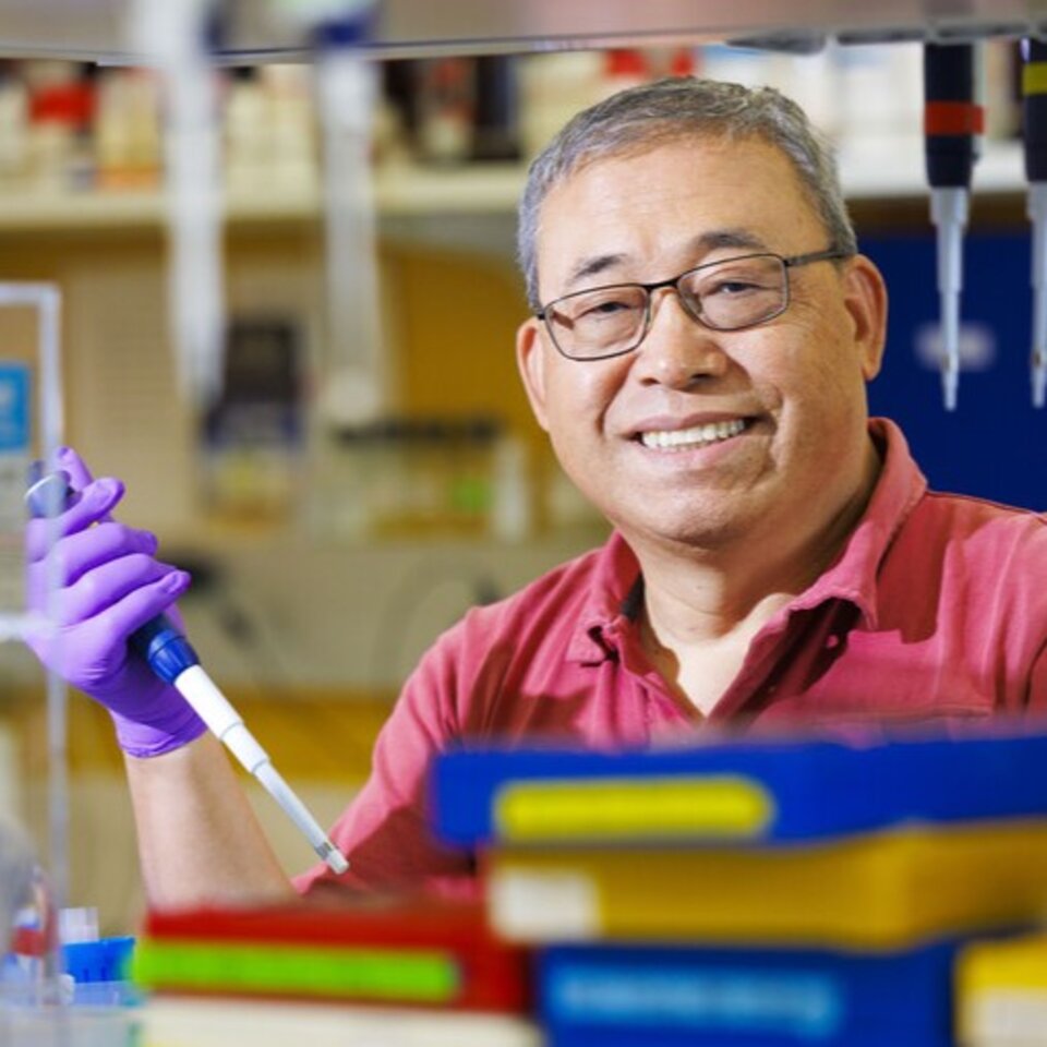 Qingshen Li