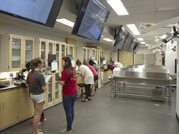 Cadaver Program